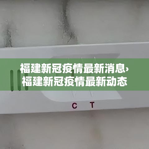 福建新冠疫情最新消息›福建新冠疫情最新动态