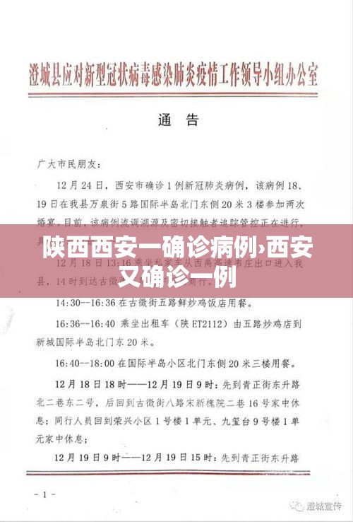 陕西西安一确诊病例›西安又确诊一例 陕西西安一确诊病例›西安又确诊一例